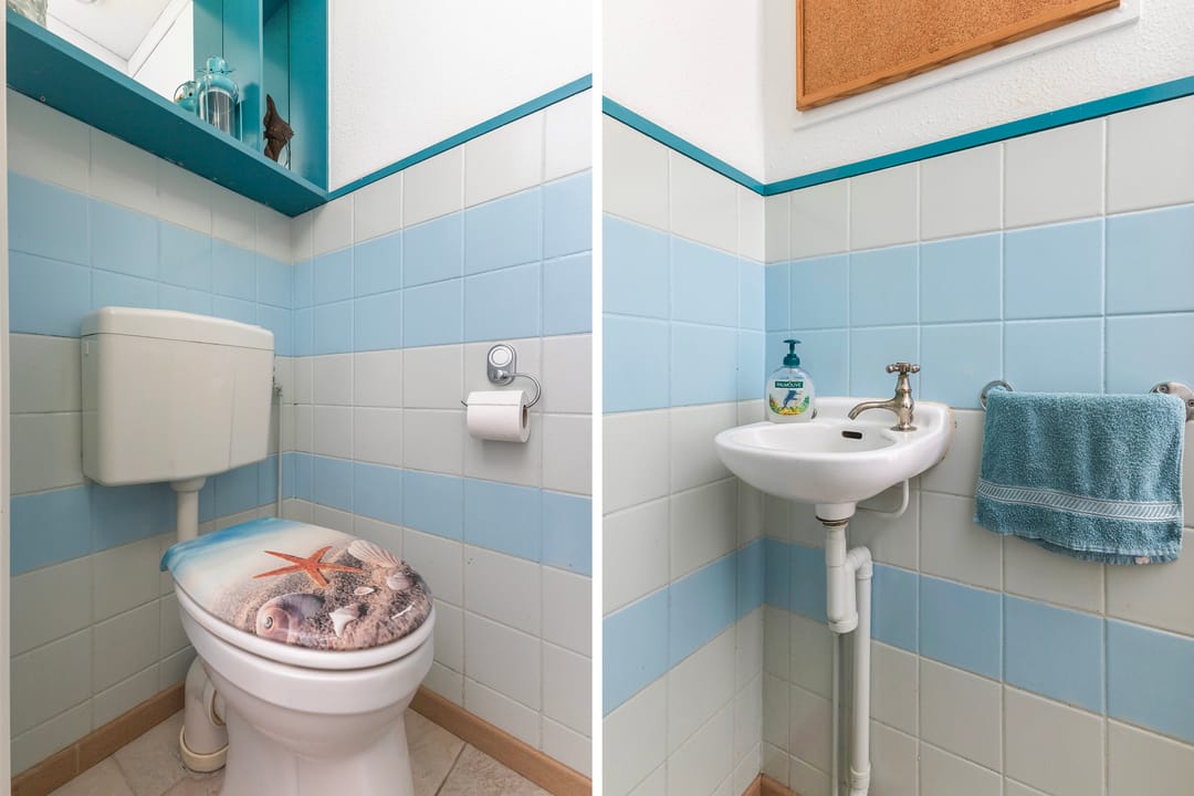 Foto 11 van Maagdepalm 4