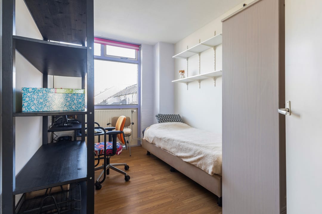 Foto 22 van Maagdepalm 4