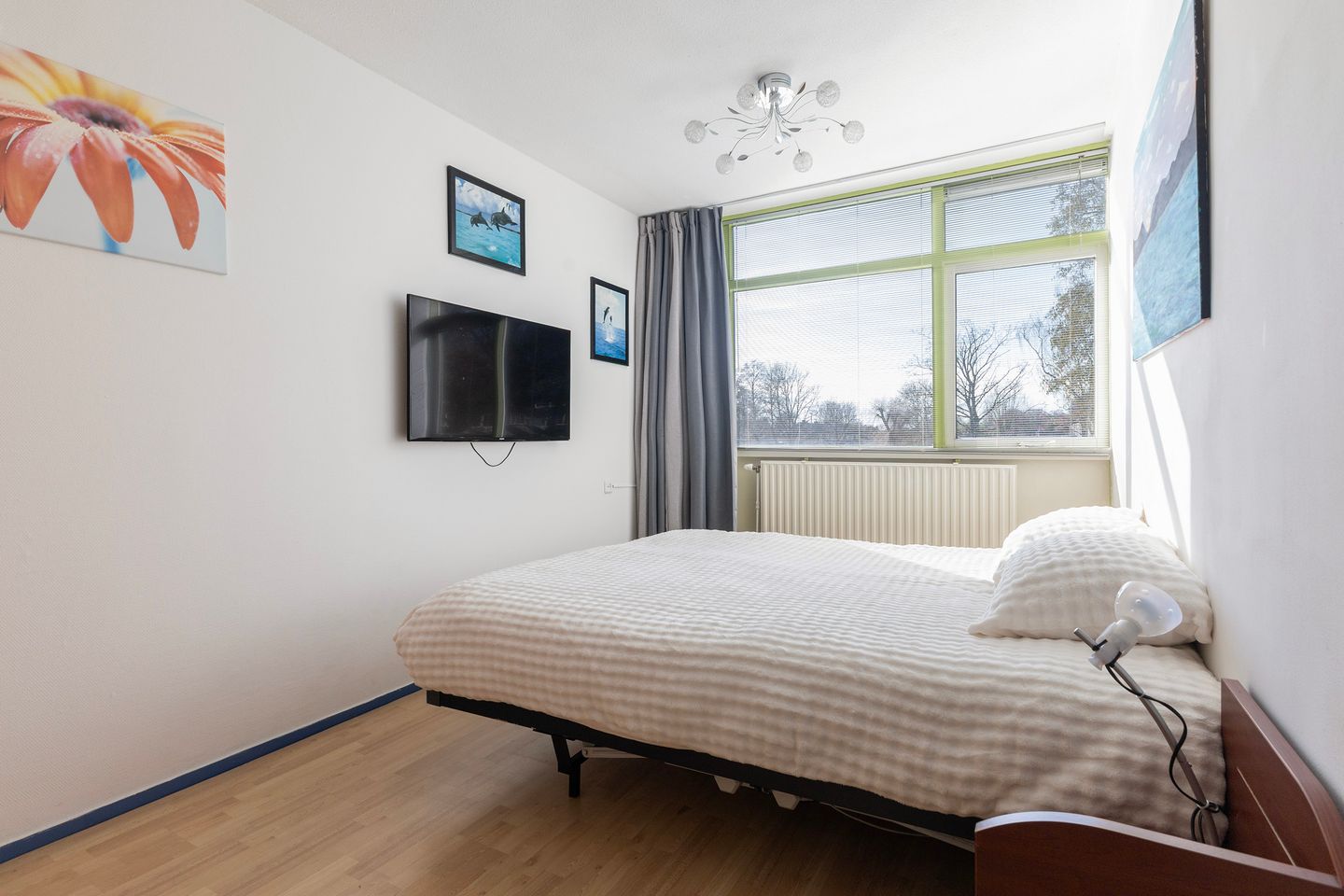 Foto 25 van Maagdepalm 4