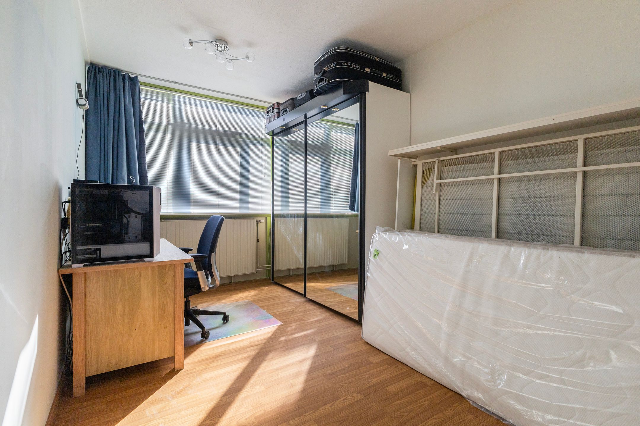 Foto 27 van Maagdepalm 4