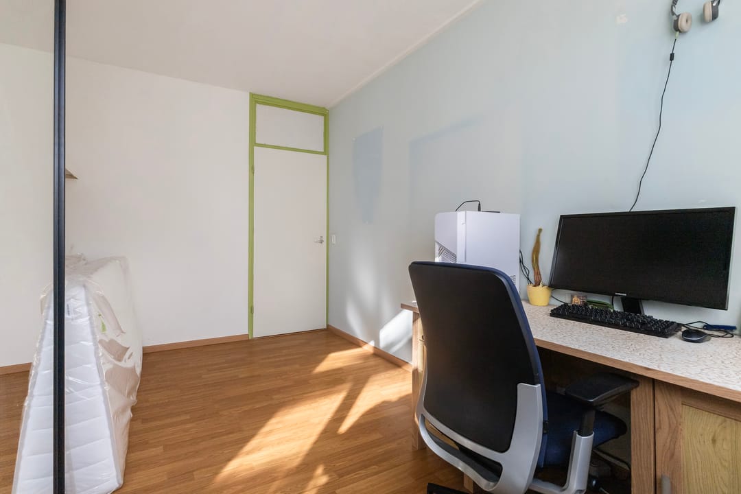 Foto 28 van Maagdepalm 4