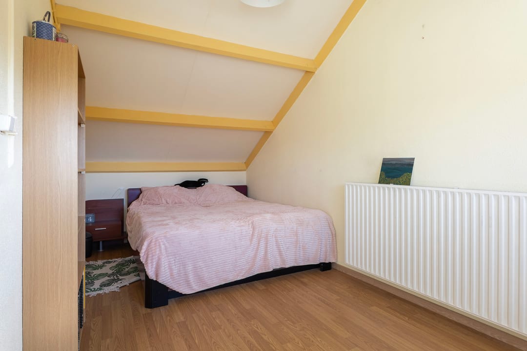 Foto 31 van Maagdepalm 4