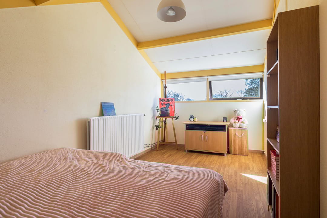 Foto 32 van Maagdepalm 4