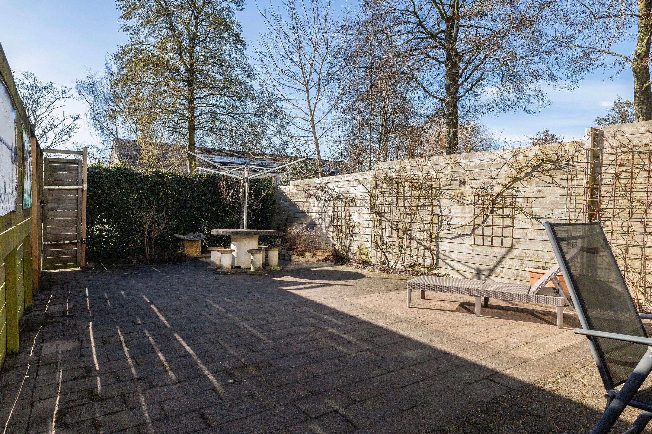 Foto 33 van Maagdepalm 4