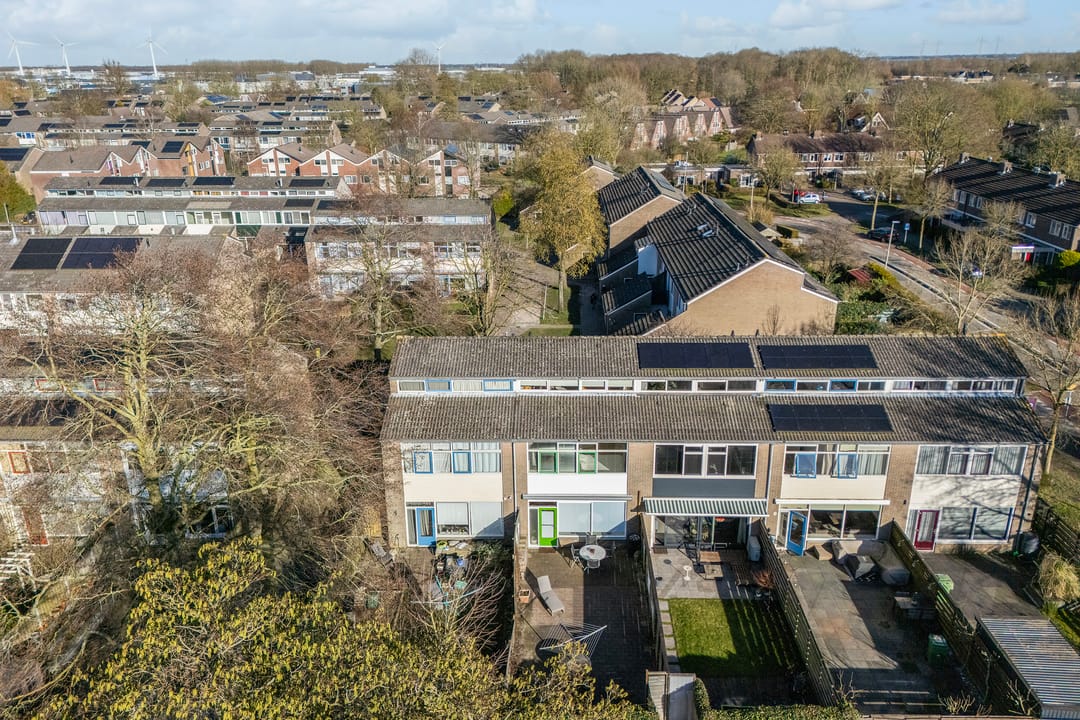 Foto 37 van Maagdepalm 4