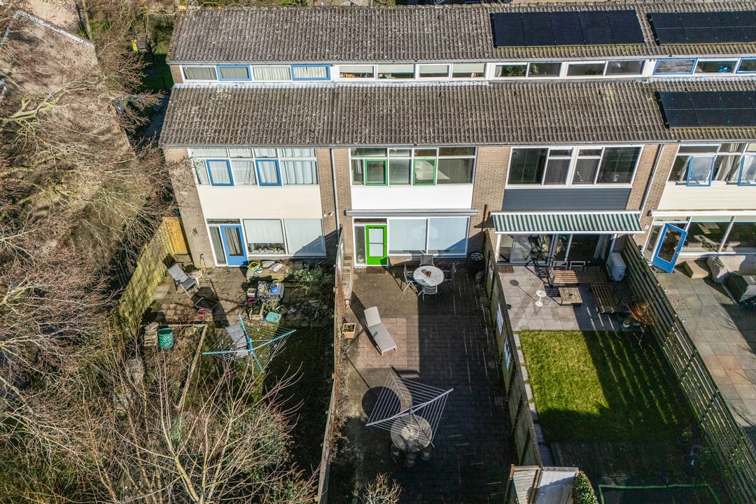 Foto 38 van Maagdepalm 4