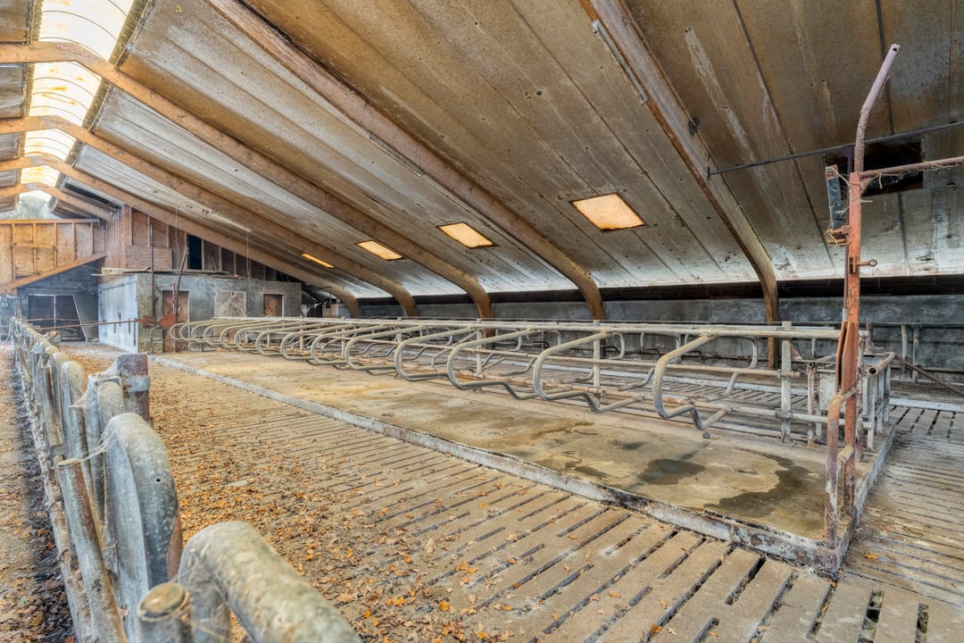 Foto 11 van Moeshoekweg 11