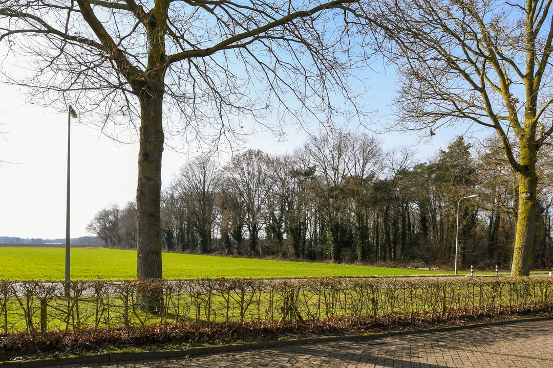 Photo 2 of Dovenetel 21