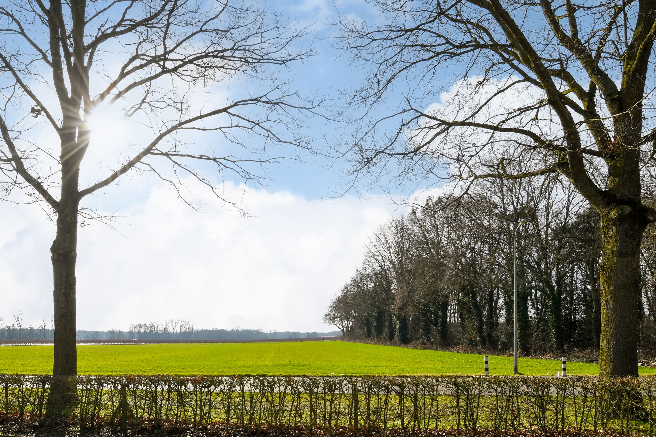 Photo 15 of Dovenetel 21