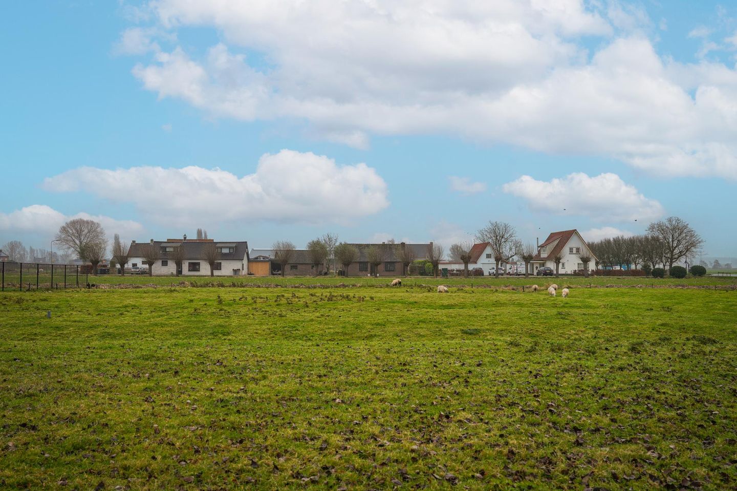 Foto 4 van Molenstraat