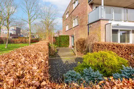 Wethouder Tomsonbos 6 tertiary image