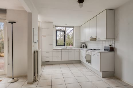 Agaatvlinder 46 tertiary image