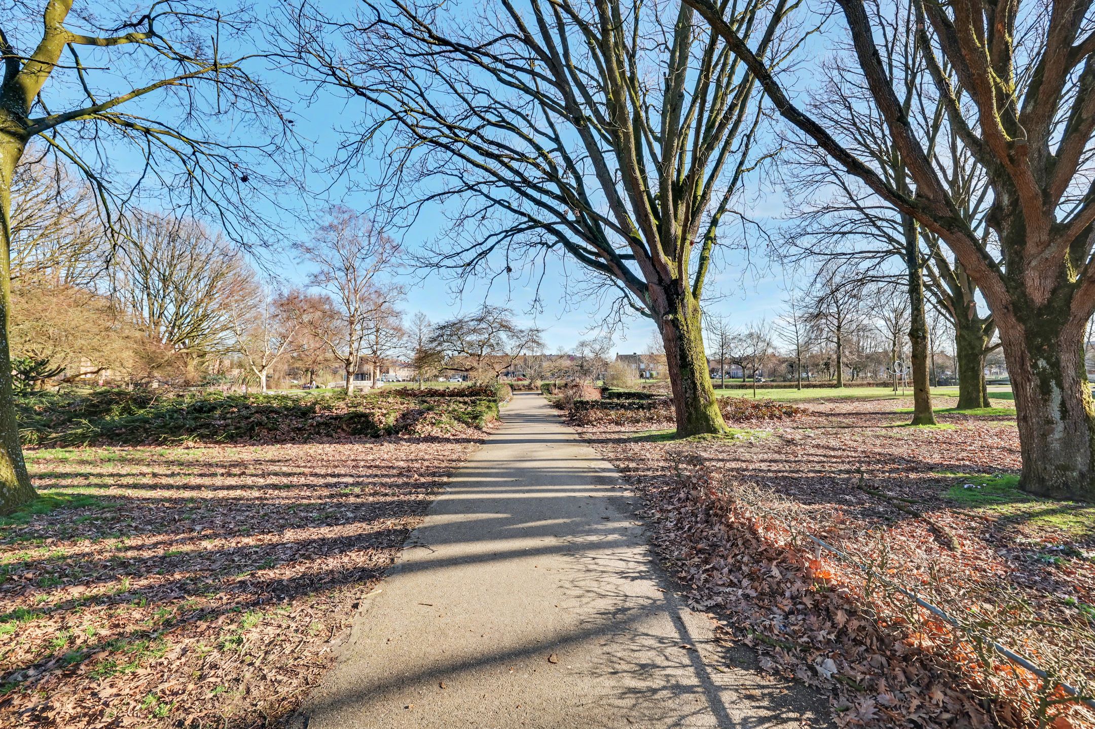 Foto 33 van Beatrixpark 33