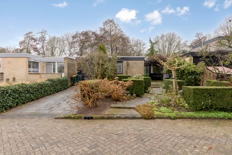 Esdoornlaan thumbnail