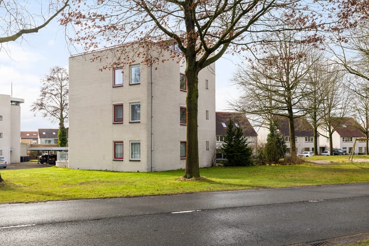 Foto 2 van Noordse Stern 28