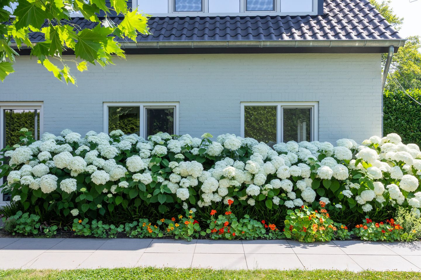 Foto 49 van Schutterslaan 19