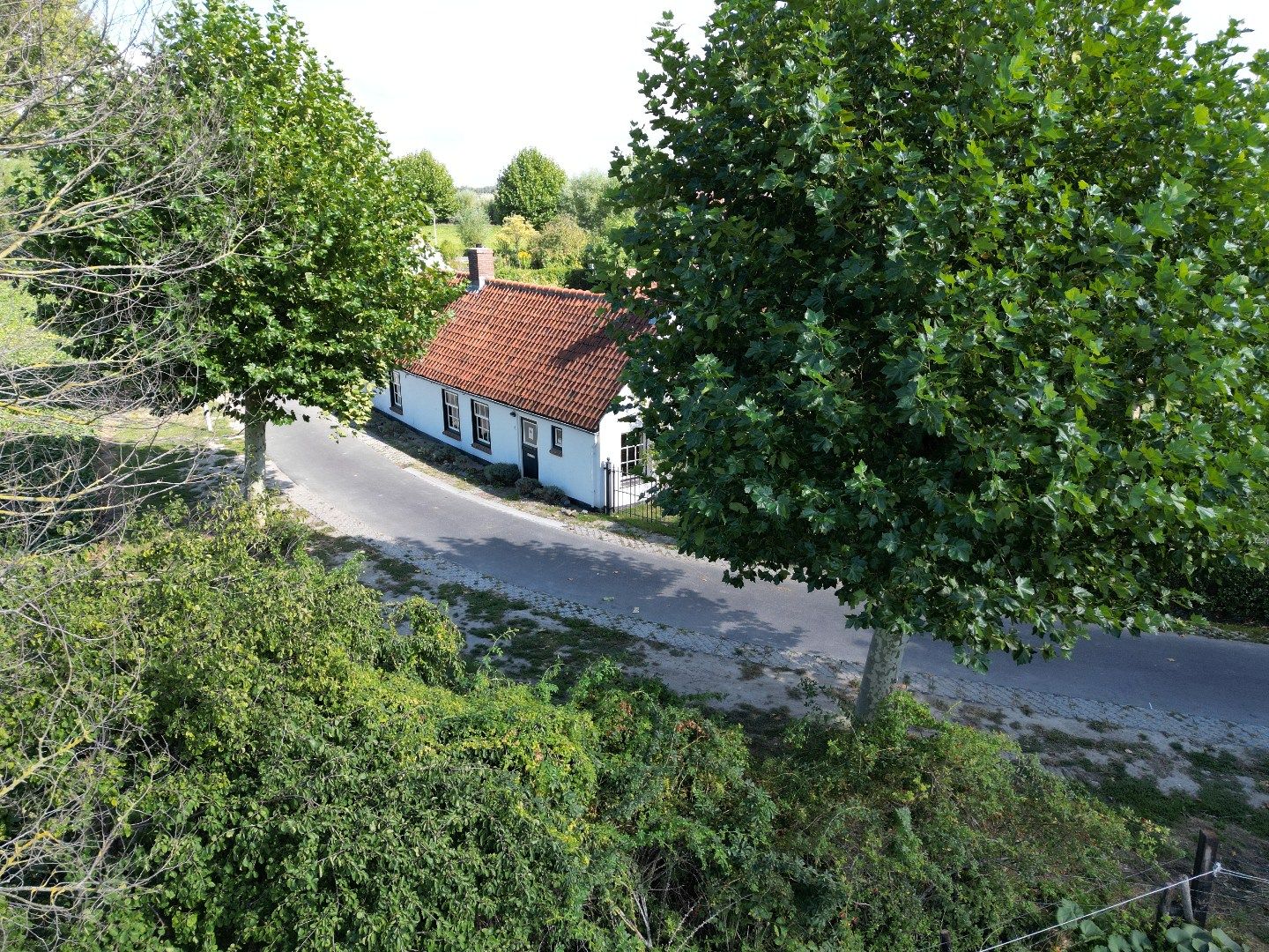 Foto 25 van Jonkvrouw Geilstraat 8