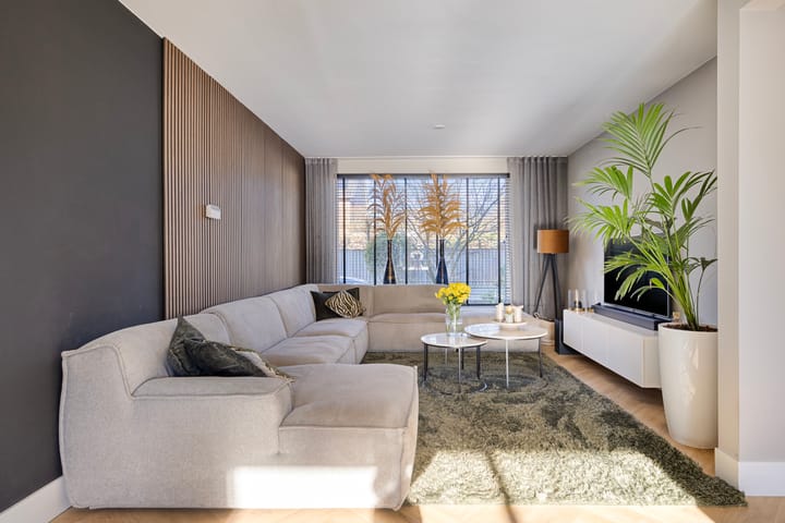 Photo 2 of van Lieshoutstraat 34