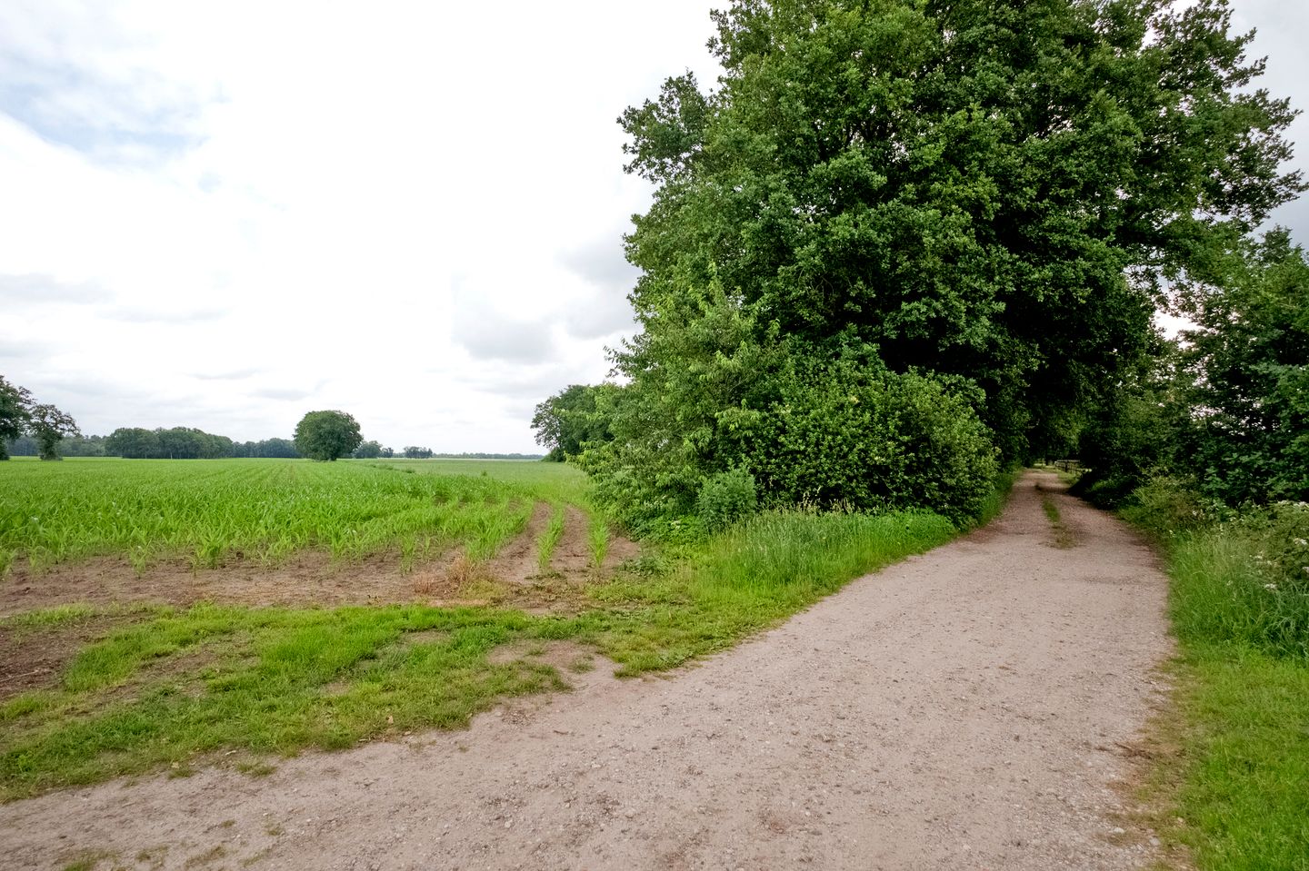 Foto 40 van Brinkkampen 15