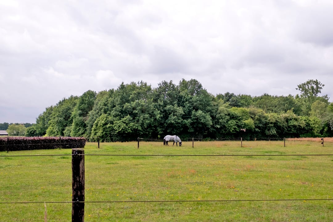 Foto 43 van Brinkkampen 15