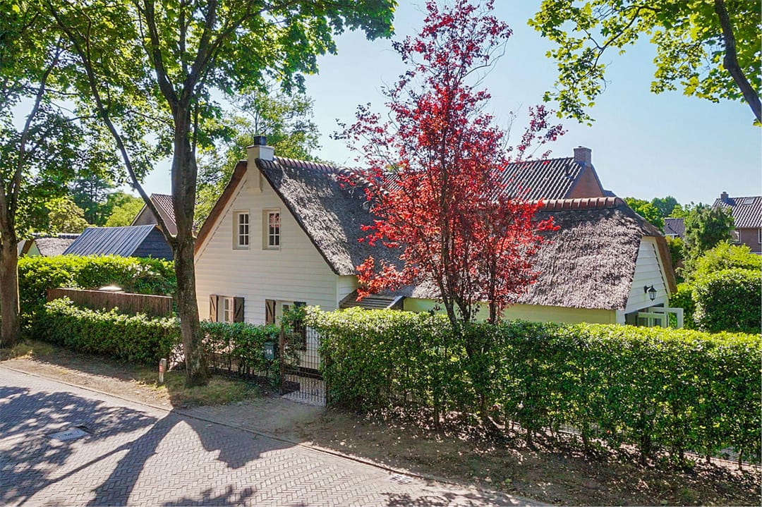 Foto 2 van Schapendrift 16