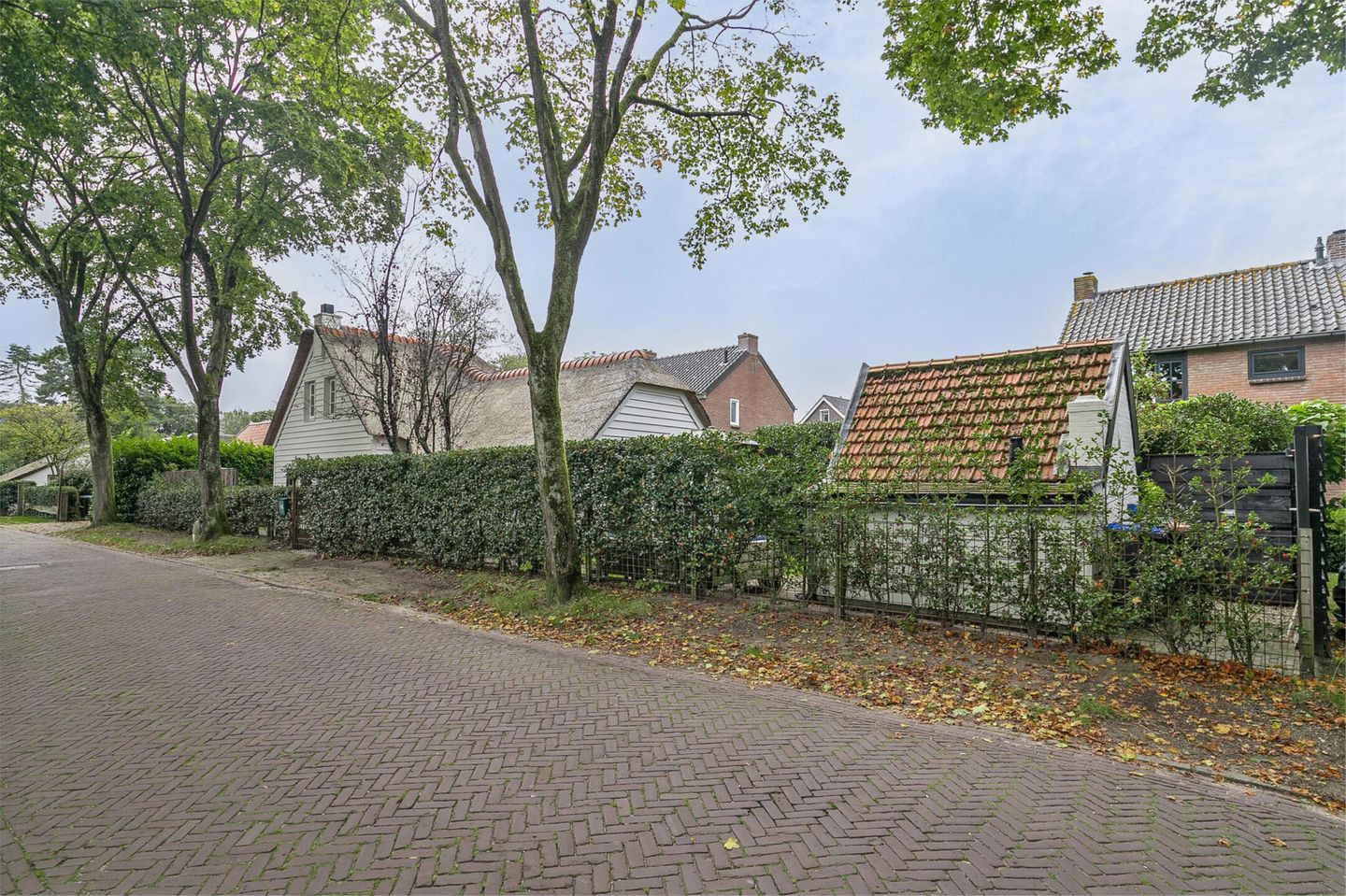 Foto 4 van Schapendrift 16