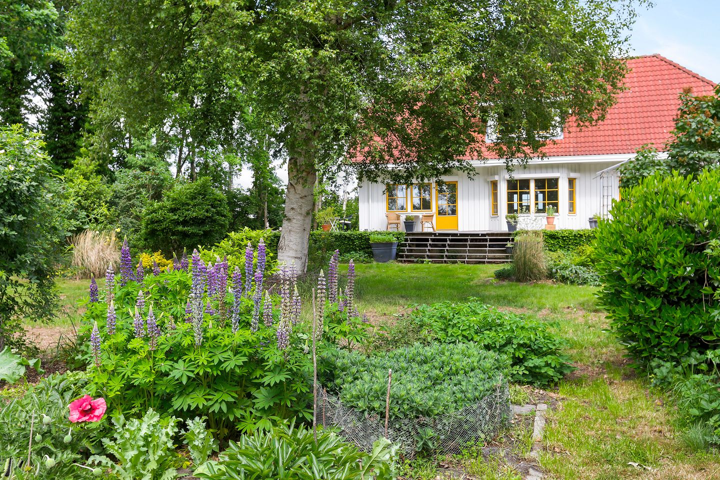 Foto 50 van Noordveenkanaal ZZ 55