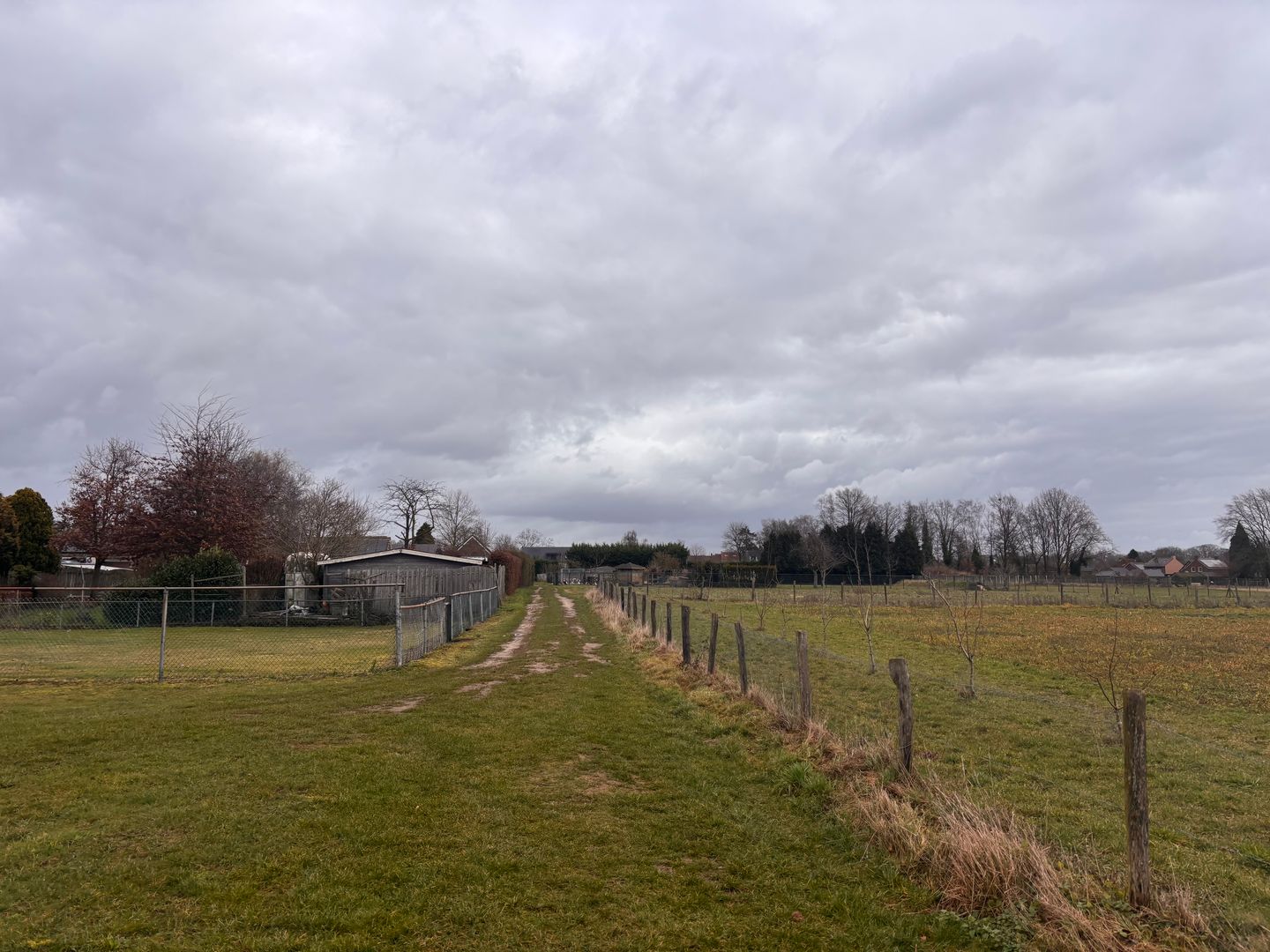 Foto 10 van Boomstraat 21-A