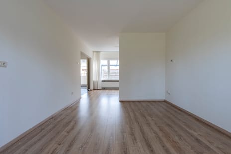 De Blinken 38 tertiary image