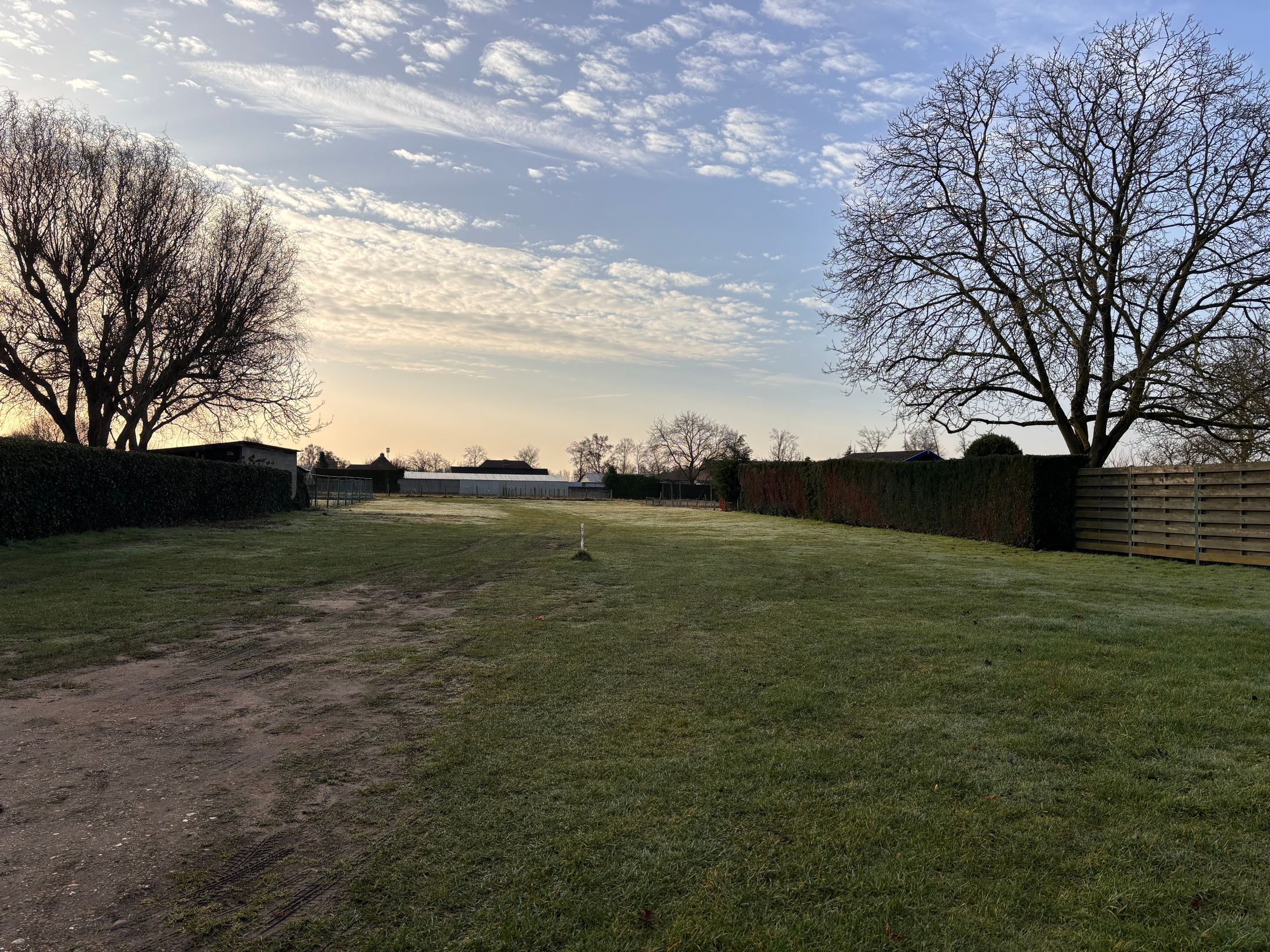 Foto 6 van Boomstraat 21-B