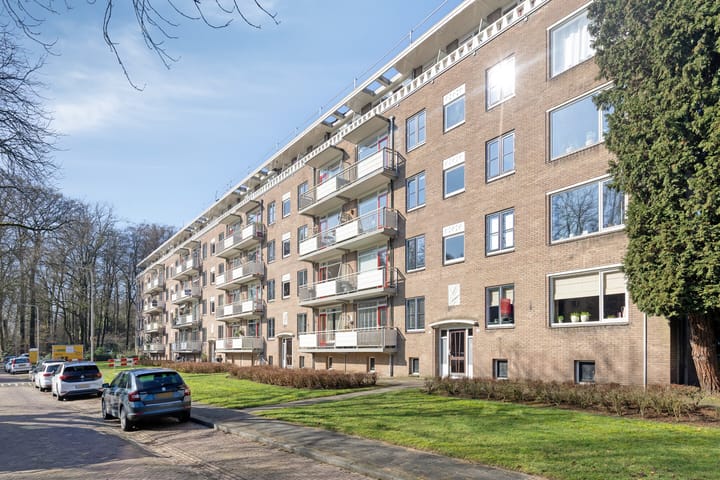 Lippe Biesterfeldstraat 15-2