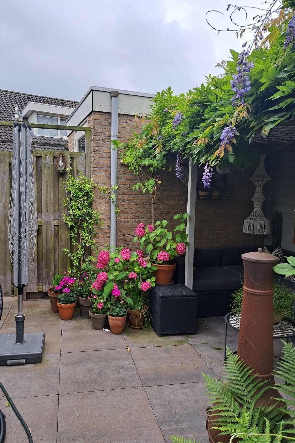 Photo 37 of Tusculum 31