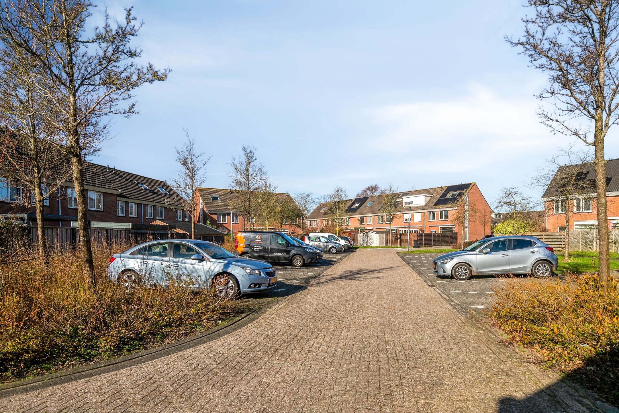 Photo 33 of Vlasleeuwenbek 60