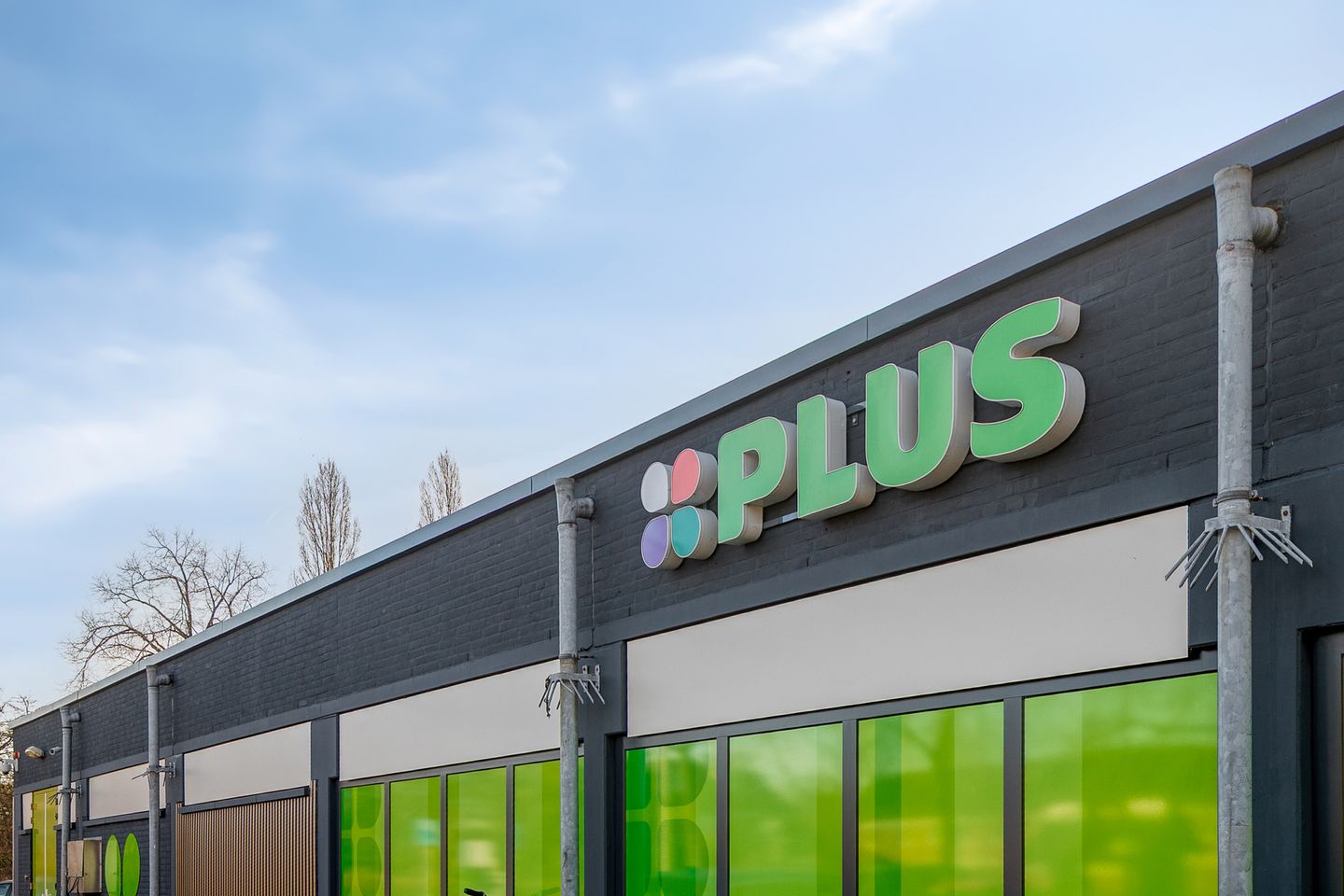 Photo 35 of Vlasleeuwenbek 60