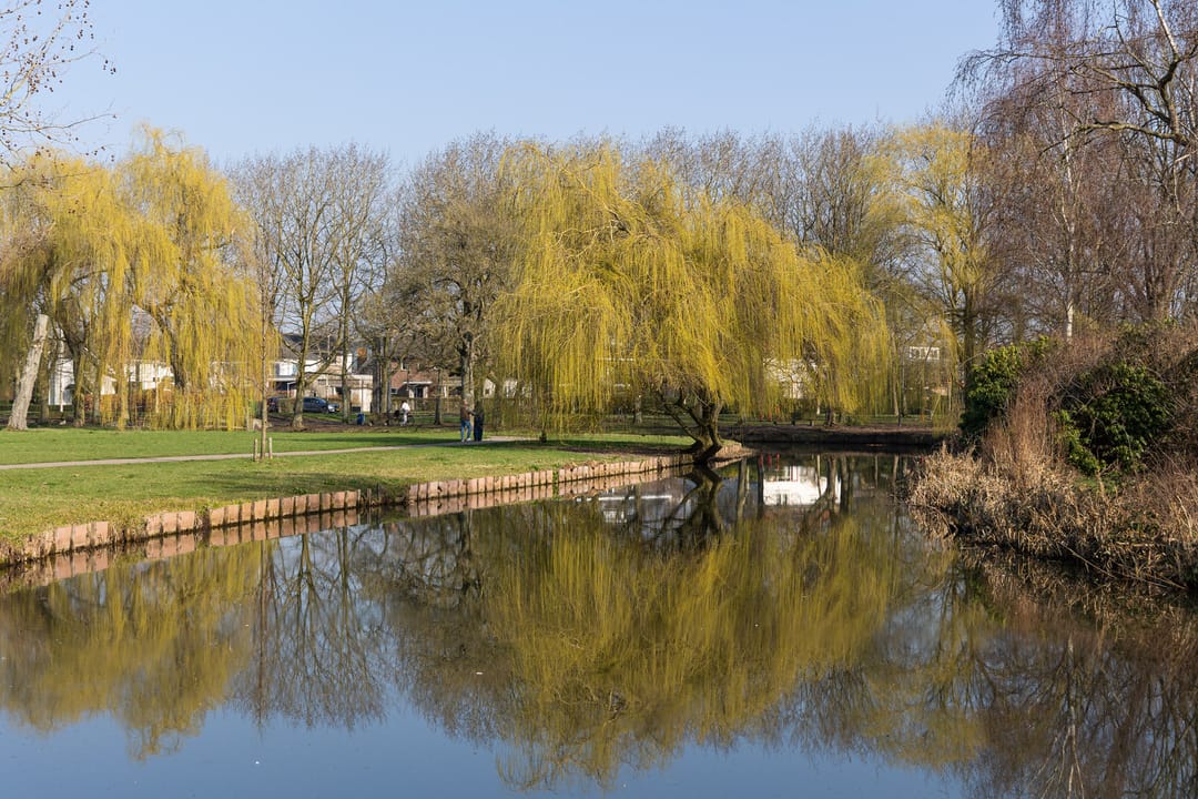 Photo 28 of Pettelaarseweg 243-D