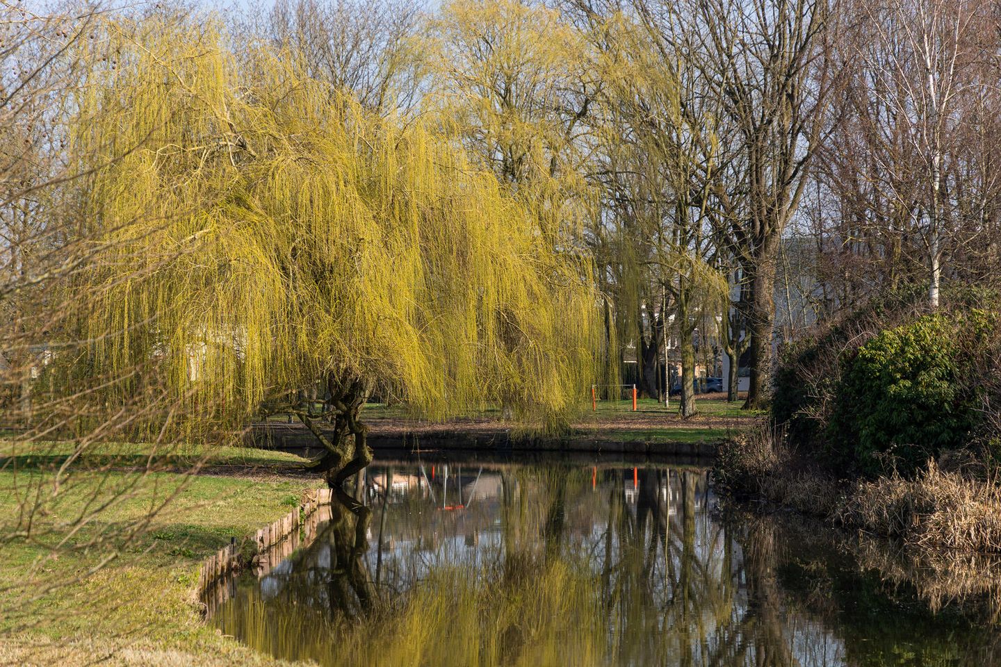 Photo 29 of Pettelaarseweg 243-D