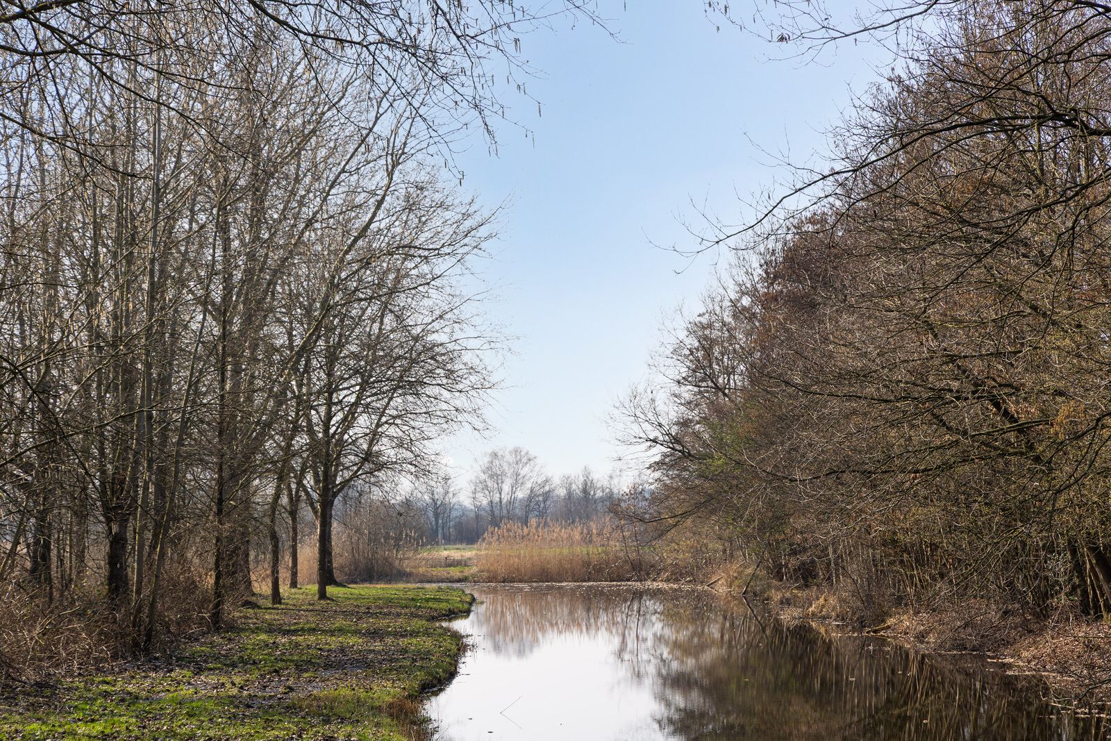 Photo 30 of Pettelaarseweg 243-D