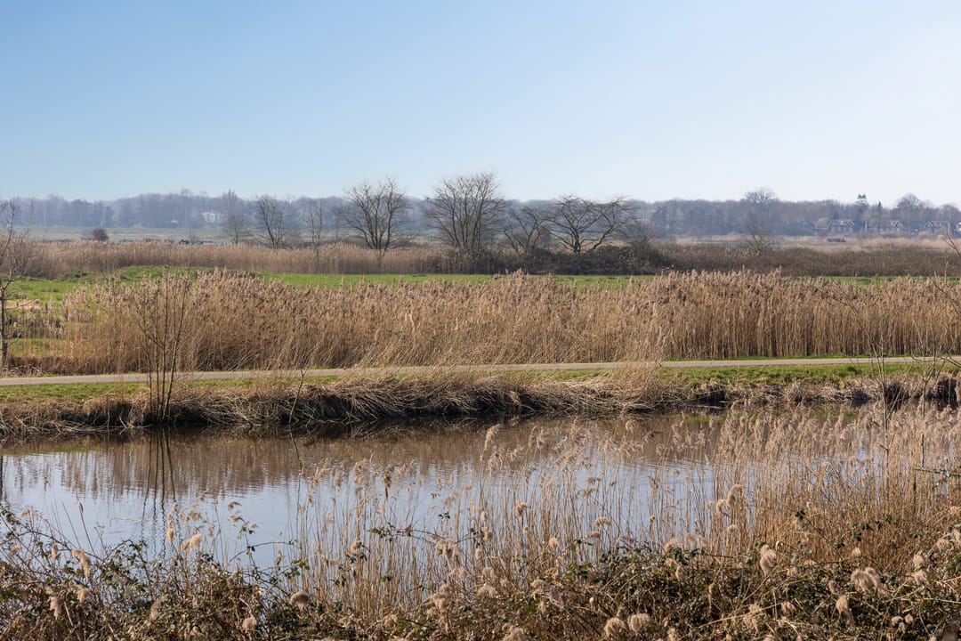 Photo 31 of Pettelaarseweg 243-D