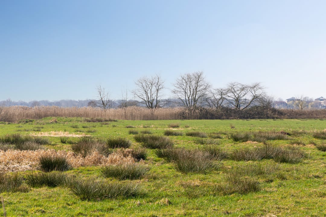 Photo 32 of Pettelaarseweg 243-D