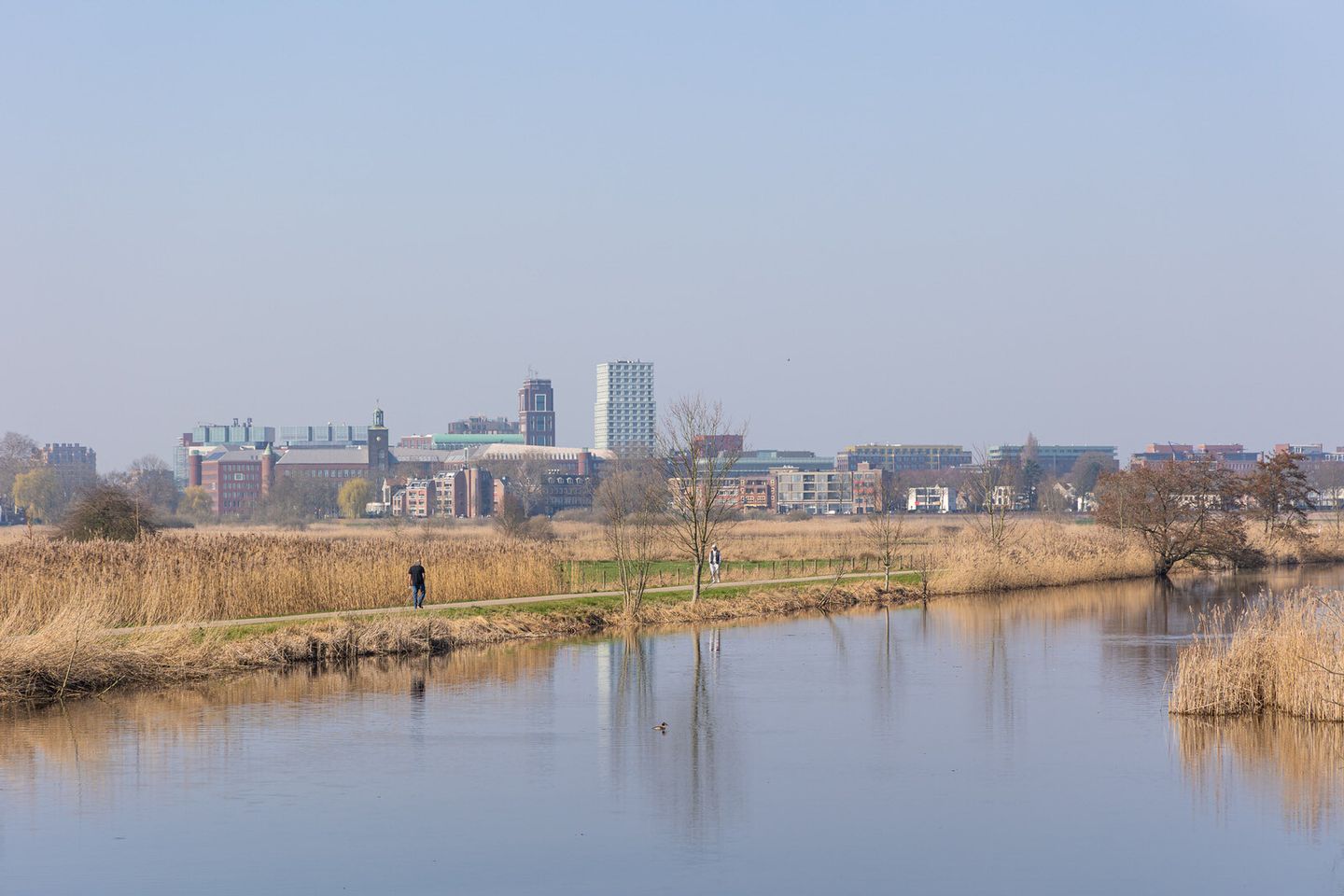 Photo 34 of Pettelaarseweg 243-D