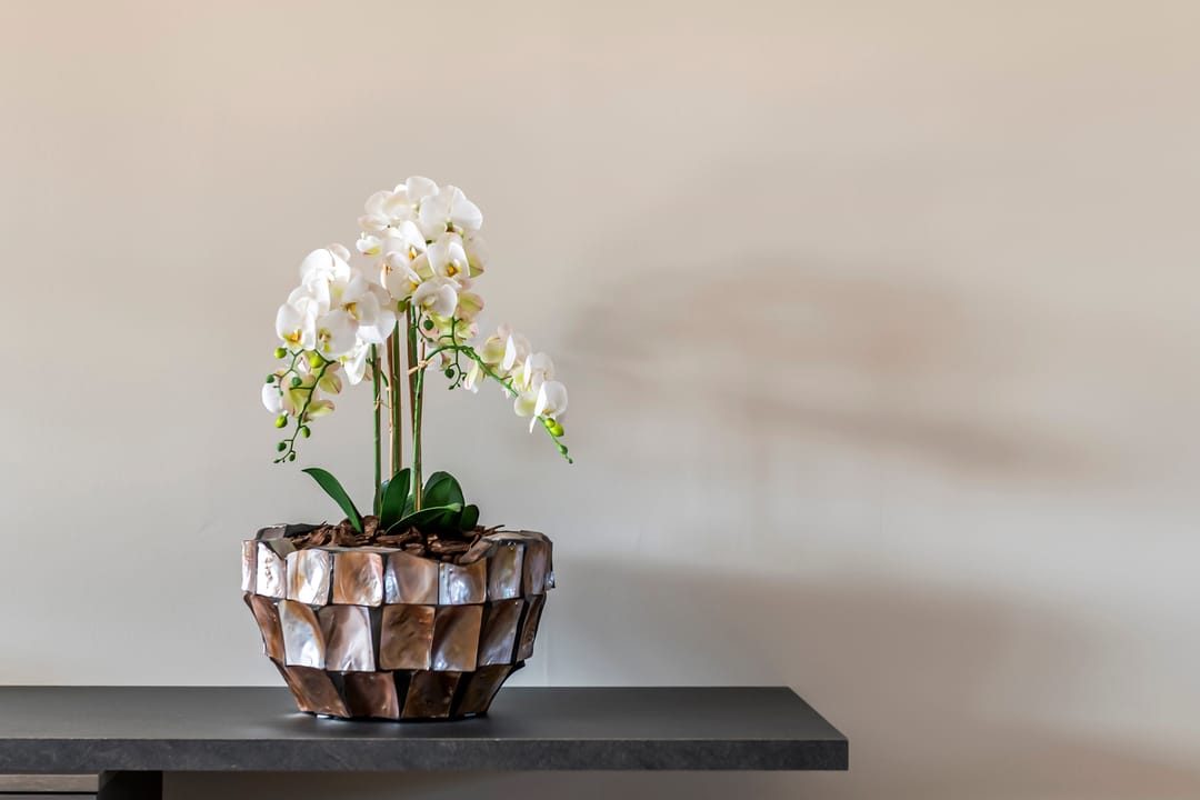 Foto 13 van Laag Dalemseweg 68