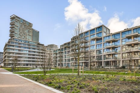 undefined main image