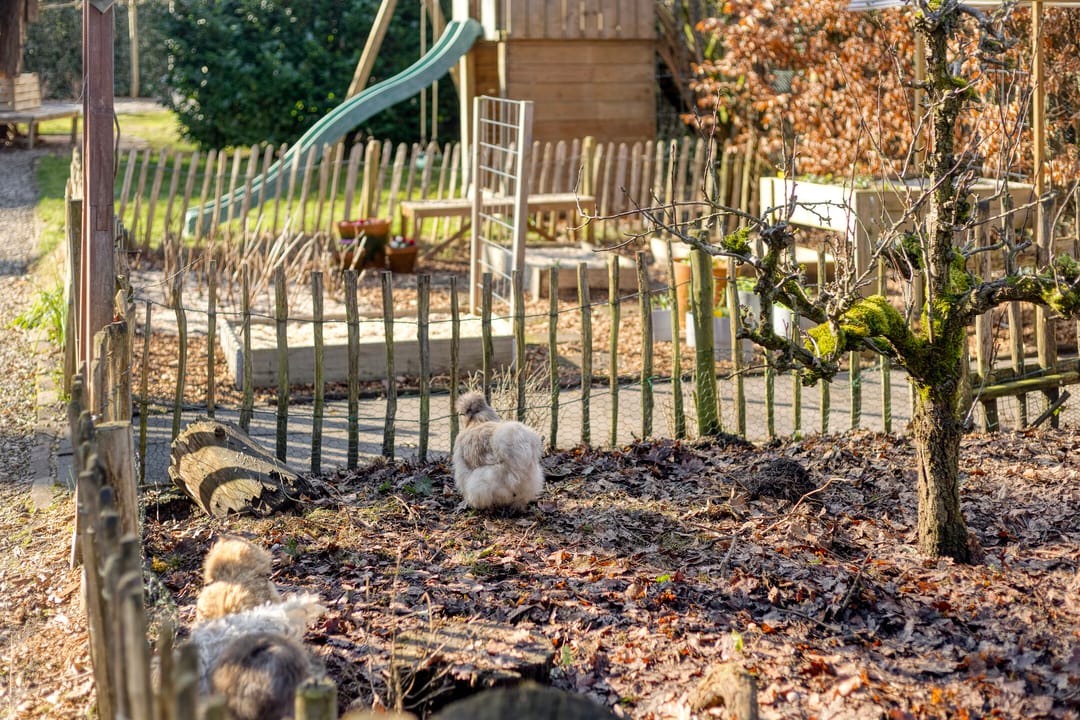 Foto 52 van Kemperbergerweg 811