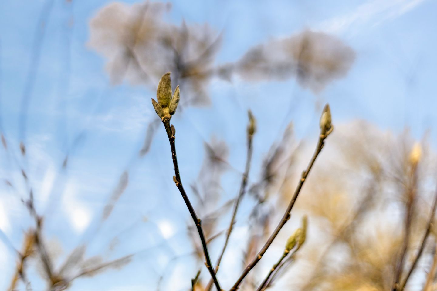 Foto 55 van Kemperbergerweg 811