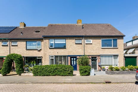 undefined main image