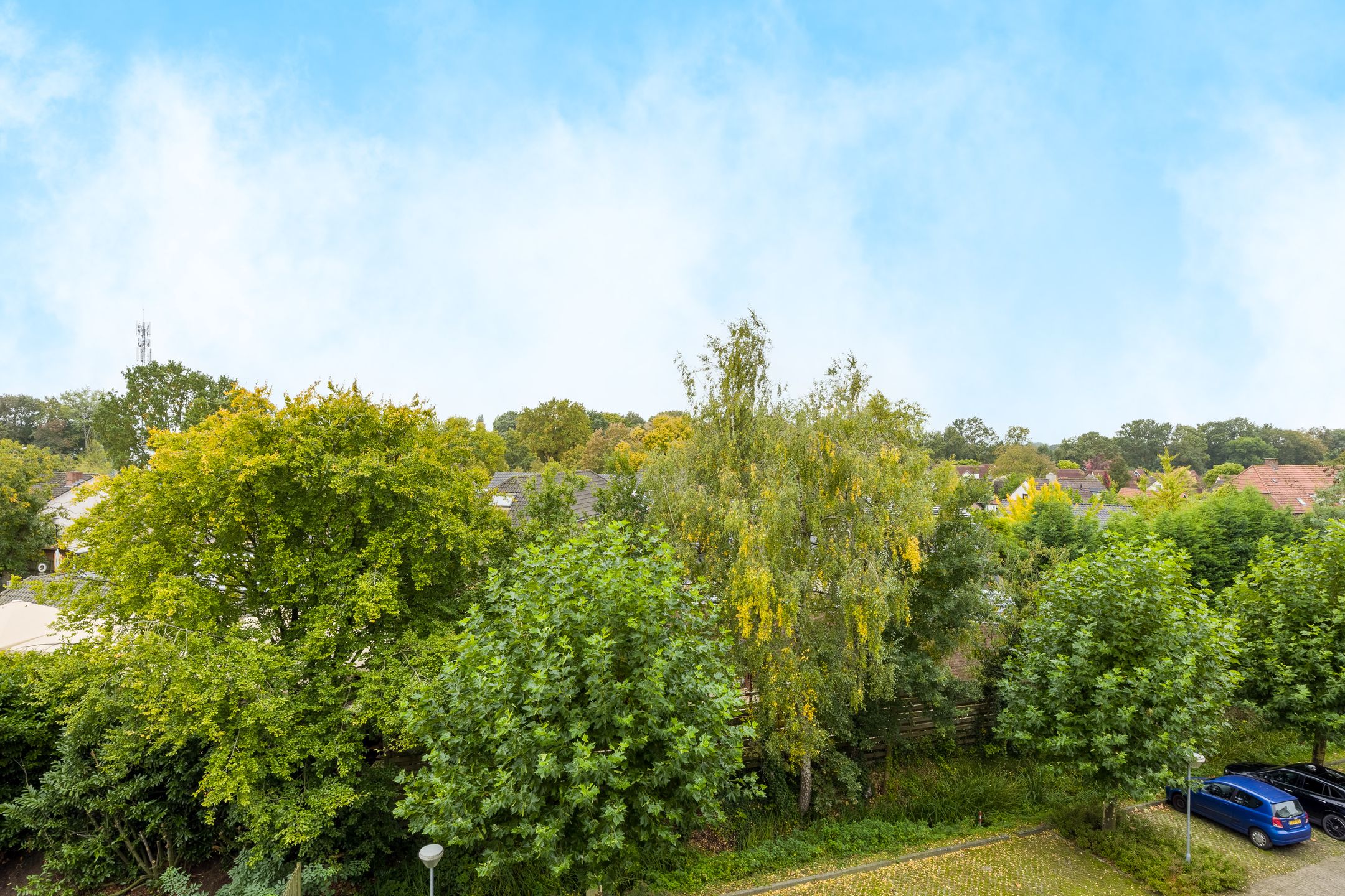 Foto 33 van Witteweg 4-R