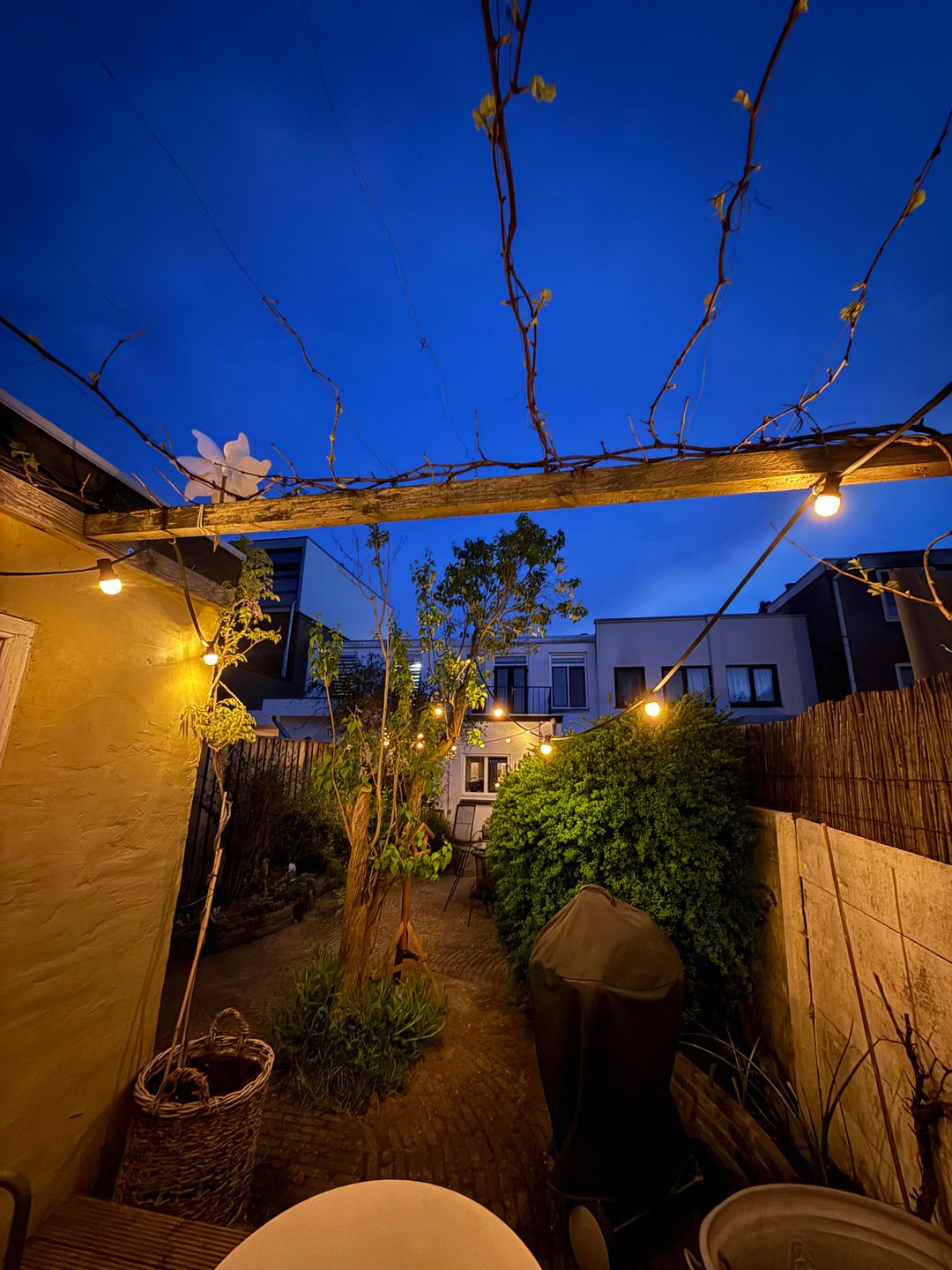 Foto 37 van Tooropstraat 91