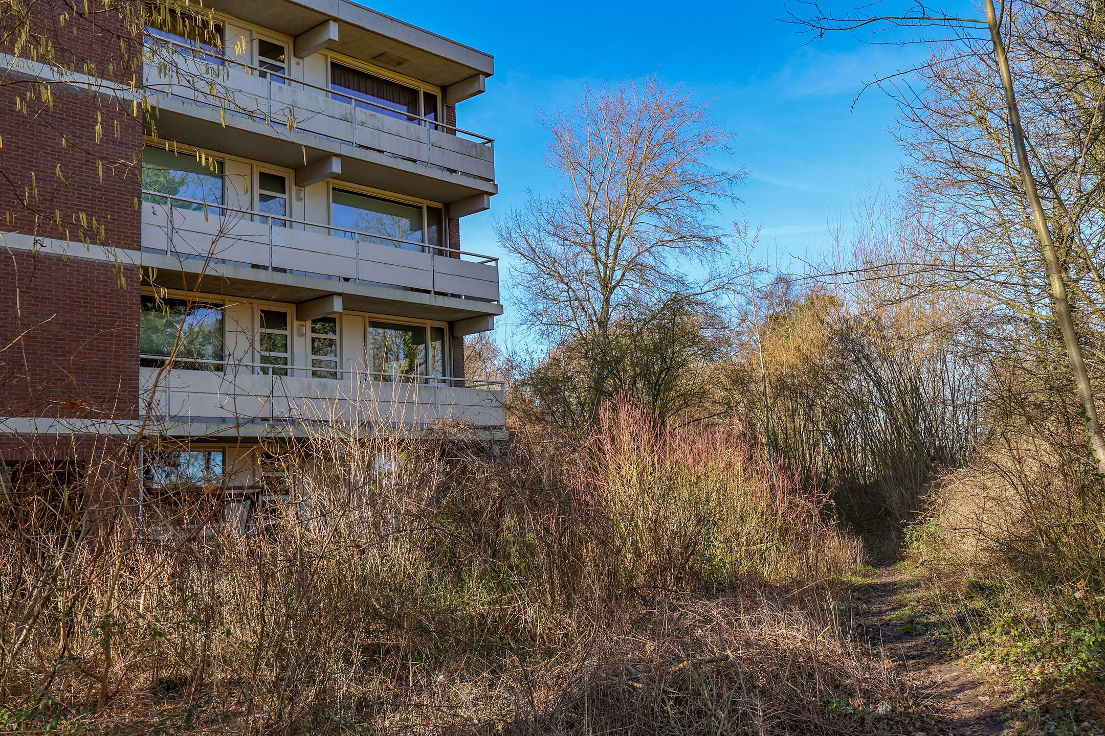 Photo 30 of Groenhof 113