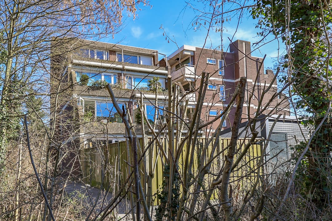 Photo 31 of Groenhof 113