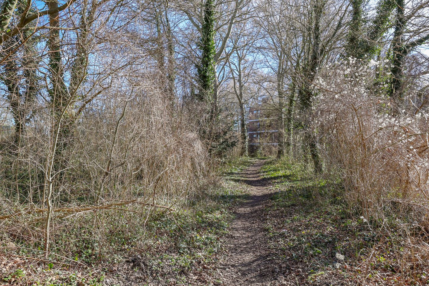 Photo 35 of Groenhof 113